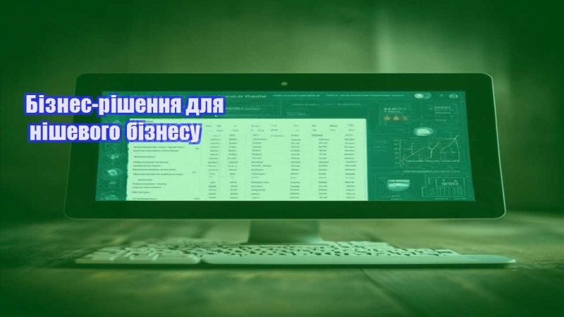 biznes rishennya dlya nishevogo biznesu
