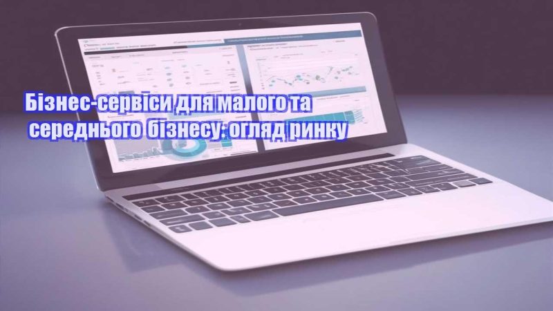 biznes servisy dlya malogo ta serednogo biznesu oglyad rynku